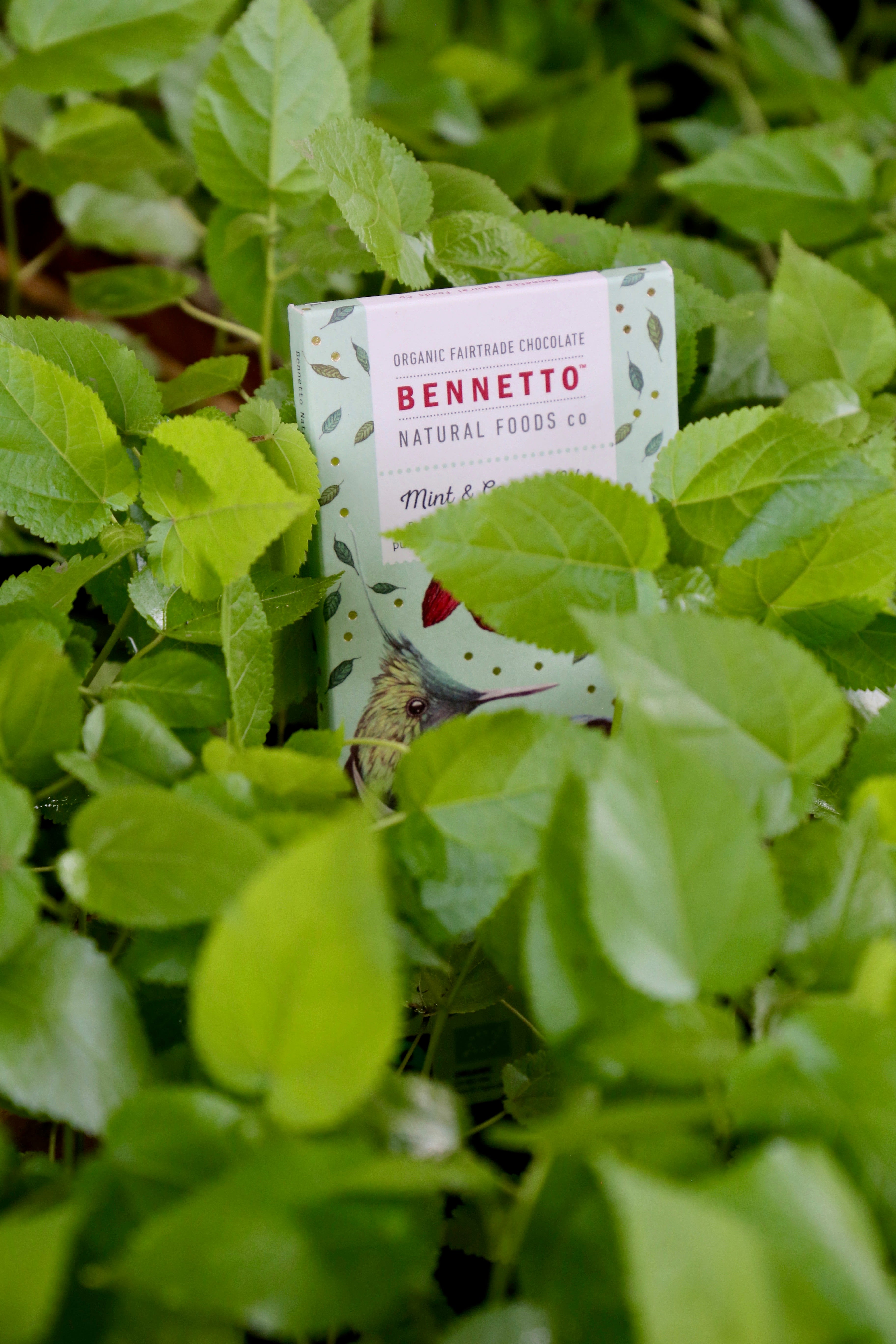 Bennetto gets its B Corp badge