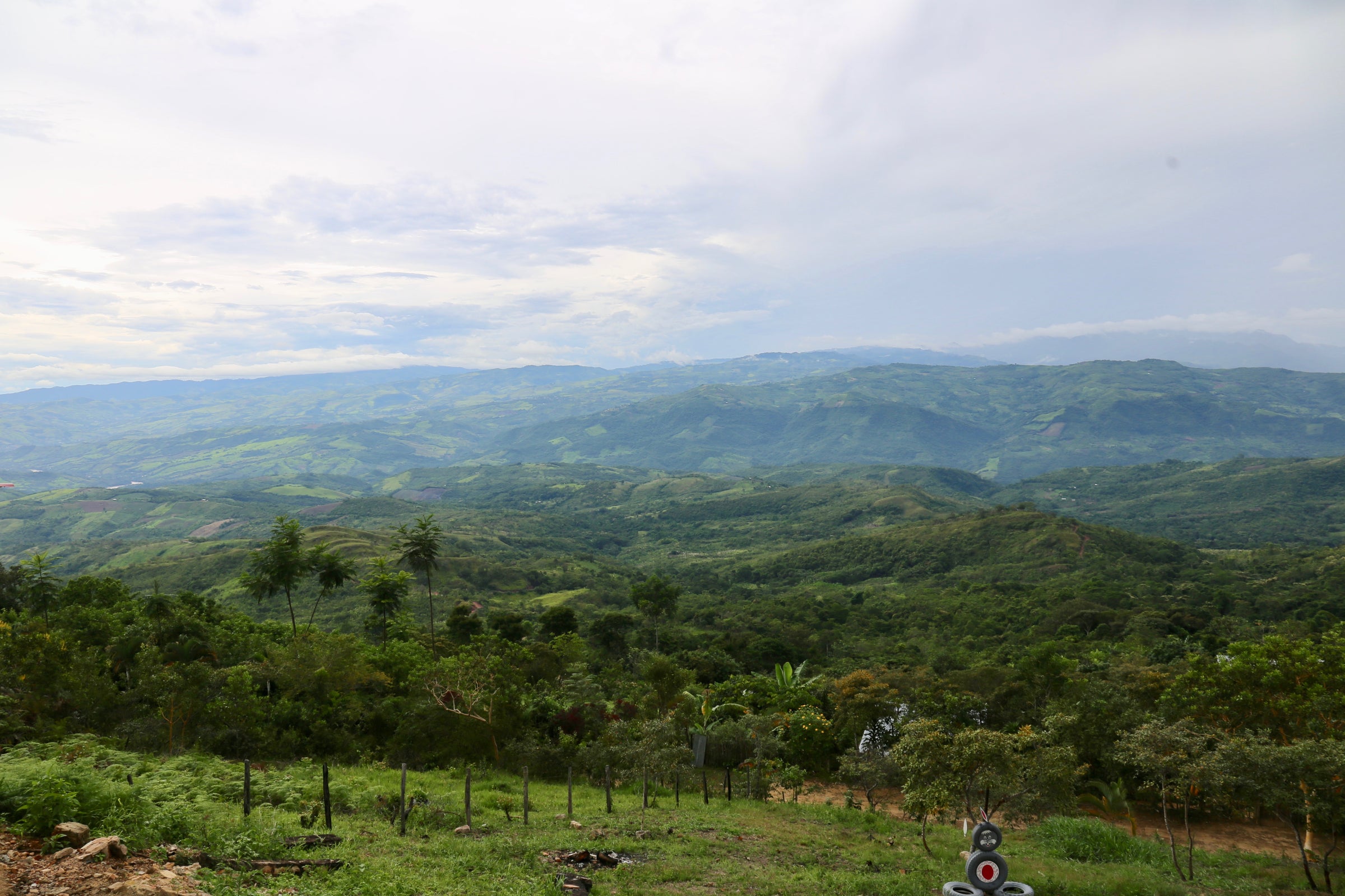 Scenic view of green hills and valleys under a cloudy sky