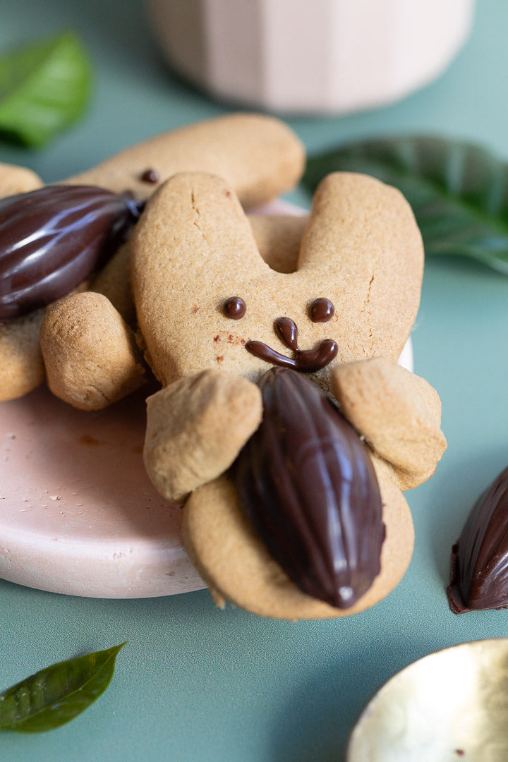 Happy Hopping Benny Bunny Easter Gingerbread Cookies
